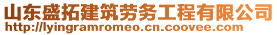 山東盛拓建筑勞務(wù)工程有限公司