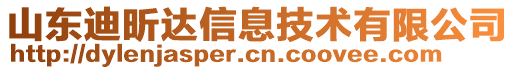 山東迪昕達(dá)信息技術(shù)有限公司