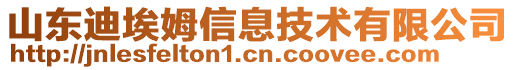 山東迪埃姆信息技術(shù)有限公司