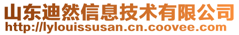 山東迪然信息技術有限公司