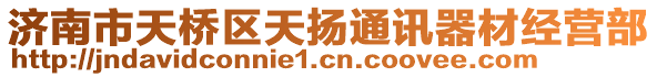 濟南市天橋區(qū)天揚通訊器材經(jīng)營部