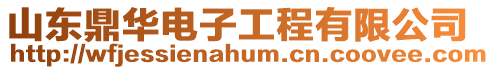 山東鼎華電子工程有限公司