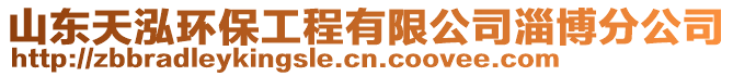 山东天泓环保工程有限公司淄博分公司