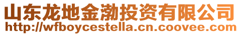 山東龍地金渤投資有限公司