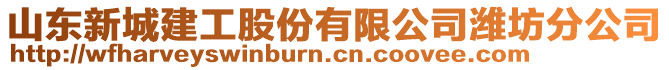 山東新城建工股份有限公司濰坊分公司