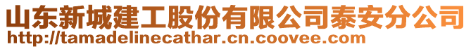 山東新城建工股份有限公司泰安分公司