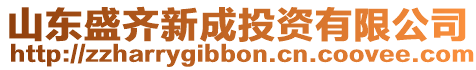 山東盛齊新成投資有限公司