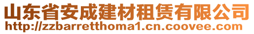 山東省安成建材租賃有限公司