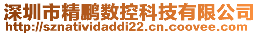 深圳市精鵬數(shù)控科技有限公司