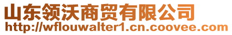 山東領(lǐng)沃商貿(mào)有限公司