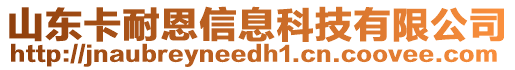 山東卡耐恩信息科技有限公司