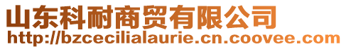 山東科耐商貿(mào)有限公司