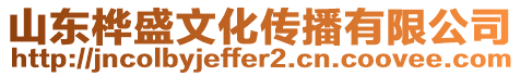 山東樺盛文化傳播有限公司