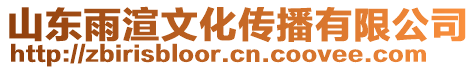 山東雨渲文化傳播有限公司