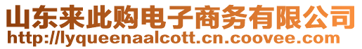 山東來此購電子商務(wù)有限公司