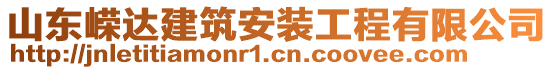 山東嶸達(dá)建筑安裝工程有限公司