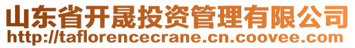 山東省開晟投資管理有限公司