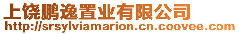 上饒鵬逸置業(yè)有限公司