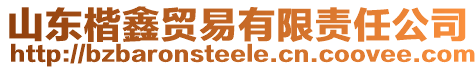 山東楷鑫貿(mào)易有限責任公司