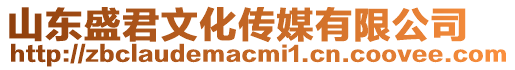 山東盛君文化傳媒有限公司