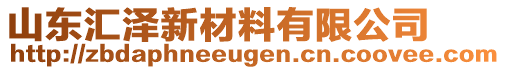 山東匯澤新材料有限公司