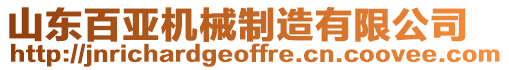 山東百亞機(jī)械制造有限公司