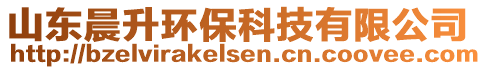 山東晨升環(huán)保科技有限公司