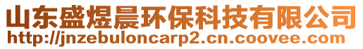 山東盛煜晨環(huán)?？萍加邢薰? style=