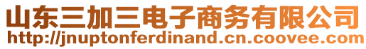 山東三加三電子商務有限公司