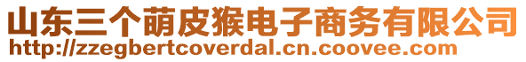 山東三個萌皮猴電子商務有限公司