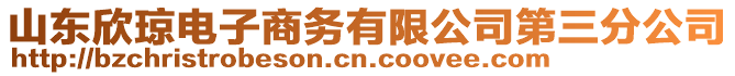 山東欣瓊電子商務(wù)有限公司第三分公司