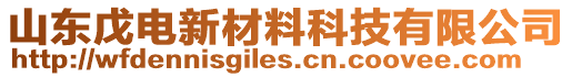 山東戊電新材料科技有限公司