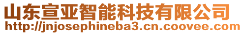 山東宣亞智能科技有限公司