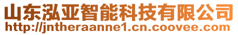 山東泓亞智能科技有限公司