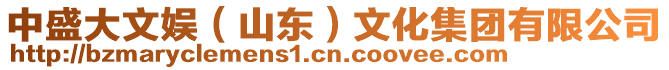 中盛大文娛（山東）文化集團(tuán)有限公司