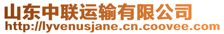 山東中聯(lián)運(yùn)輸有限公司