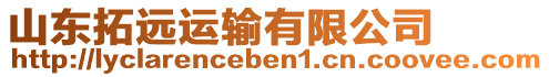 山東拓遠(yuǎn)運(yùn)輸有限公司