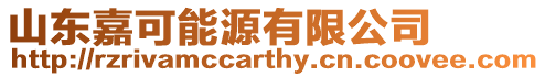 山東嘉可能源有限公司