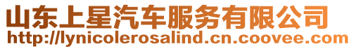 山東上星汽車服務有限公司