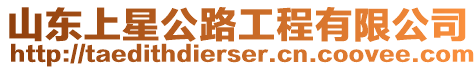 山東上星公路工程有限公司