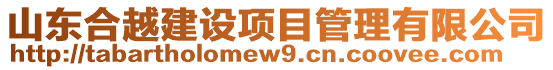 山東合越建設(shè)項(xiàng)目管理有限公司