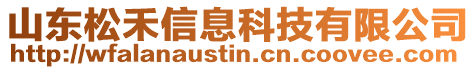 山東松禾信息科技有限公司