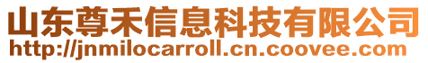 山東尊禾信息科技有限公司