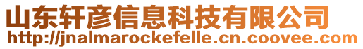 山東軒彥信息科技有限公司