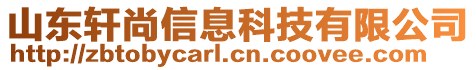 山東軒尚信息科技有限公司