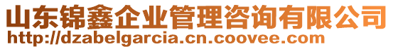 山東錦鑫企業(yè)管理咨詢有限公司