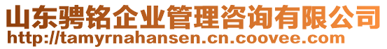 山東騁銘企業管理咨詢有限公司