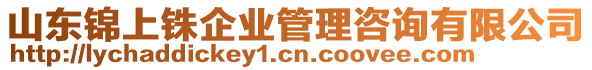 山東錦上銖企業(yè)管理咨詢有限公司