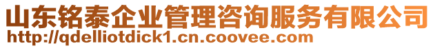 山東銘泰企業管理咨詢服務有限公司