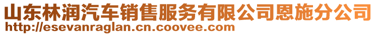 山東林潤(rùn)汽車(chē)銷(xiāo)售服務(wù)有限公司恩施分公司